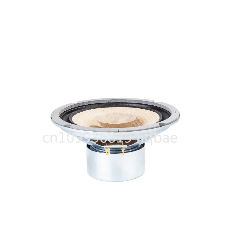 A pair Lii Song 8-inch 8 ohms  - огляд і ціна Diy Speaker