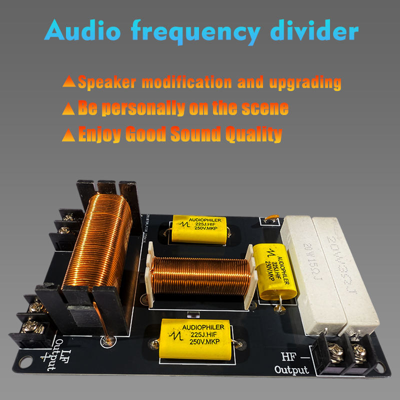Audio Frequency Divider 800W 2 - огляд і ціна Speaker Crossover