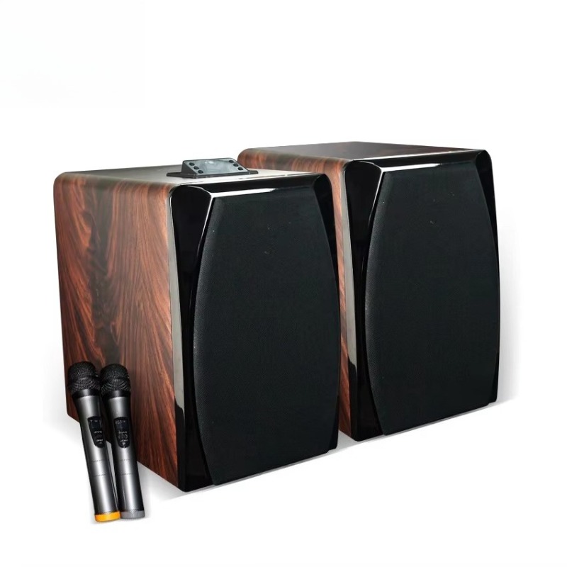 High Performance Active Karaok - огляд і ціна Woofer