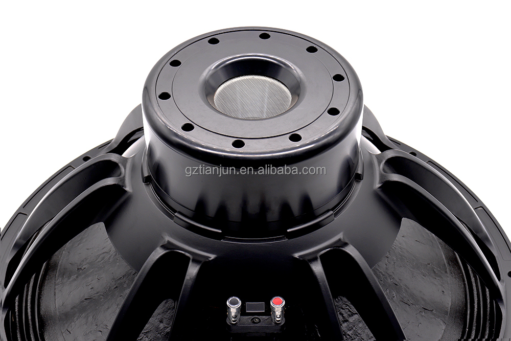 21'' Professional Audio System - огляд і ціна Subwoofer